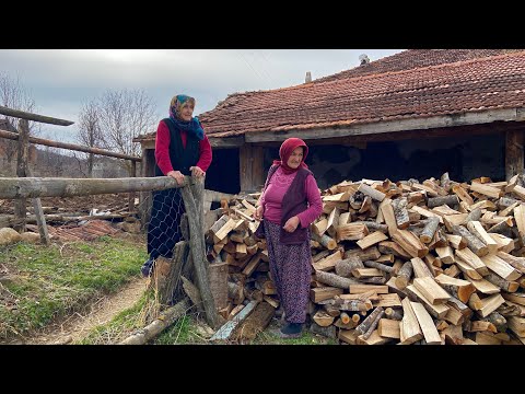 Dağ Köyündeki Yaşlı Bir Ailenin Zorlu Yaşamı Türkiye de Köy