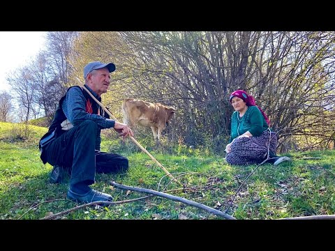 Türkiye Dağ Köyünde Aile Yaşamı Geleneksel Köy Hayatı