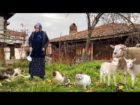 Köyde Kış Başladı Köy Hayatı Belgesel