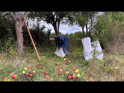 Elma Hasadı ve Köy İşleri Köy Belgeseli