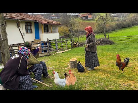 Köy Hayatı Günlük Rutin Köy İşleri Türkiye Köyünde Yaşam