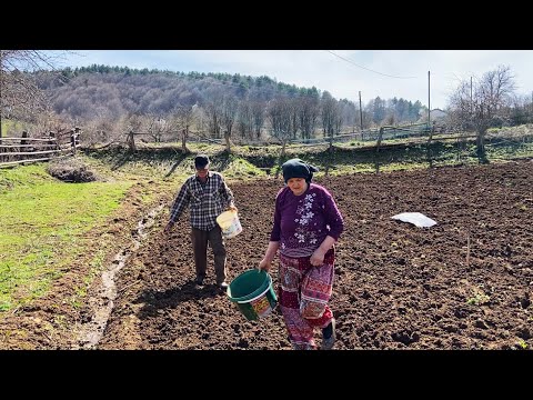 Köy Hayatı Türkiye nin Köyünde Zorlu Yaşam Belgesel