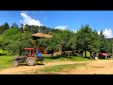 Köyde Tarla İşleri ve Kümes Hayvancılığı