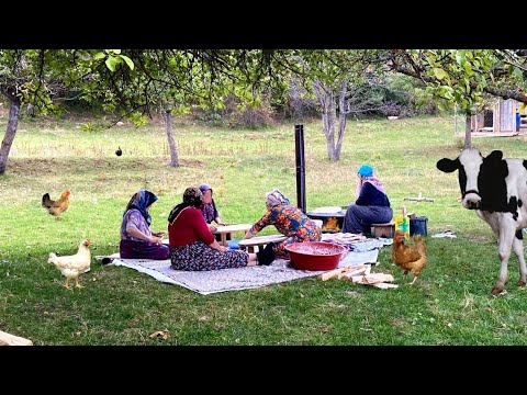 Köy Hayatı Geleneksel Köy Ekmeği Belgesel