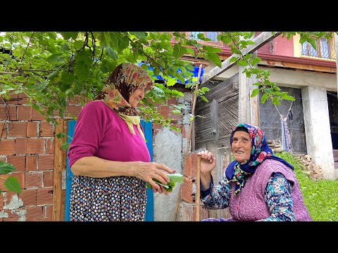 Türkiye nin Dağ Köyünde Yaşam ve Günlük İşler Köy Hayatı