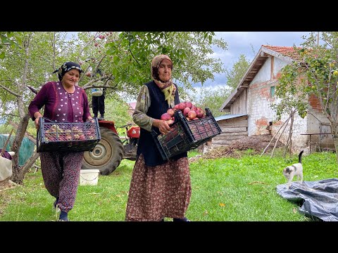 Köy Hayatı Dağlardaki Ailenin Yaşamı Belgesel