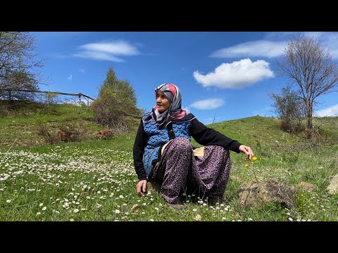 Türkiye Dağlarında Köy Hayatı Günlük Köy İşleri
