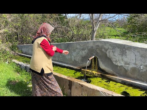 Köy Hayatı Türkiye nin Dağ Köyünde Yaşam