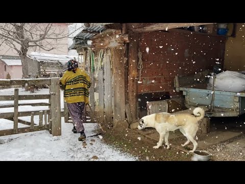 En Soğuk Dağ Köyünde Yaşam Türkiye de Kışın Köy Hayatı