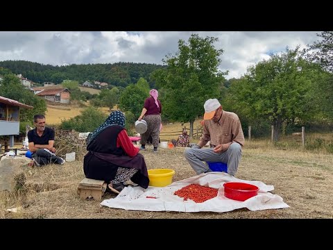 Türkiye de Köy Hayatı Büyük Ailenin Yaşamı Belgesel