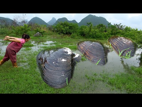 A flood has occurred and all the giant pearl oysters have