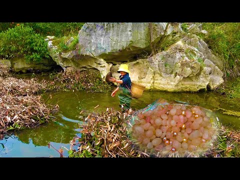 Wild clams have treasures come back tomorrow