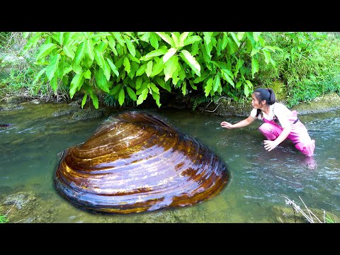The river clam was washed clean by the water and the pearls