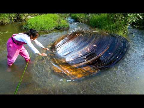 The big river clam hid in the sand and spat out pearls