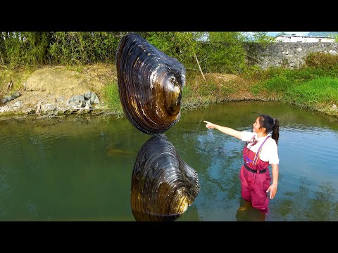 There are many big pearl oysters here and we all like to