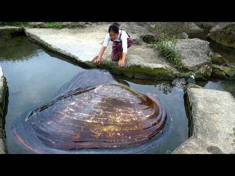 The pearl clam is too big it s a bit difficult to scoop out
