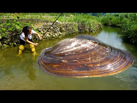 When the weather is good river clams like to come out and