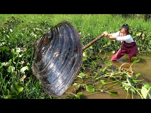 The pearl clam is too big the beauty pulled out a bunch of