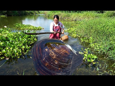 The big river clam has been discovered and today there are