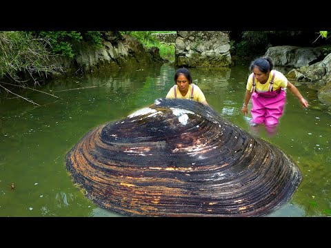 It s hard for one person to handle such a big clam pearls