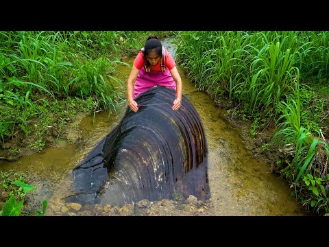 Moving in the river sand the beautiful woman dug out a