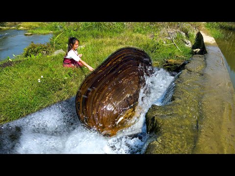 The beauty found a big river clam and I approached to see