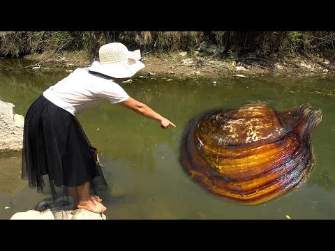 The woman in a black dress cursed with the clam causing it