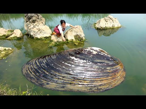 Discovered something unusual in the water and indeed a