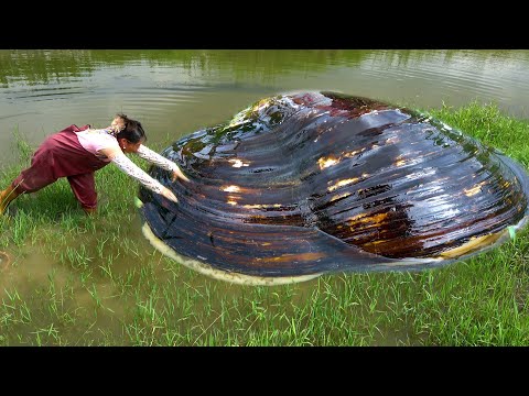 Big river clams may look a bit strange but pearls are very