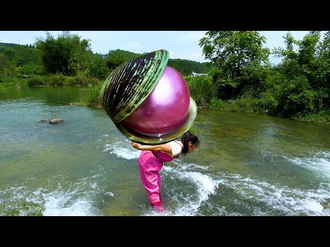 This must be the Pearl King big shiny and heavy