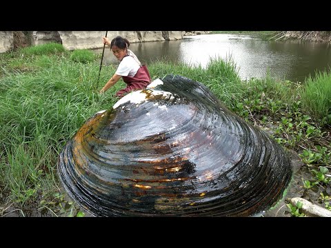 The silt in the river is too deep and the clams are so fat