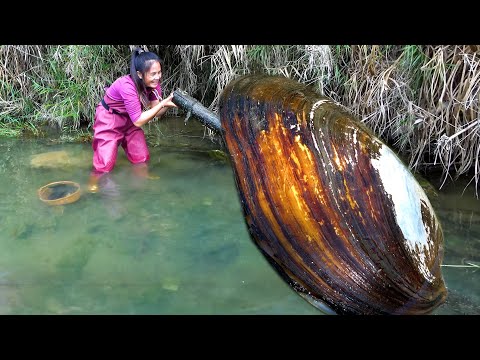 Heavyweight river clams with abundant pearls
