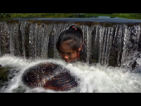 There is a big clam under the waterfall with countless