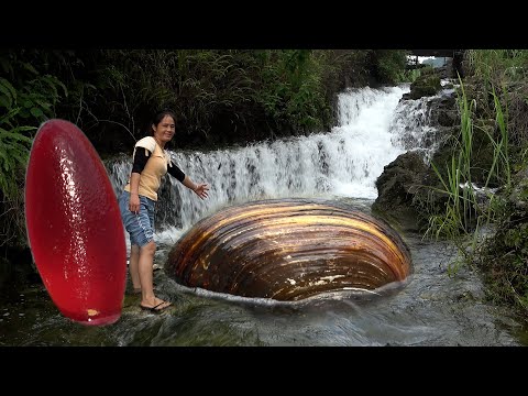 The clam in the waterfall find it and beautiful pearls will