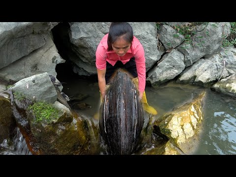 There are many clams hidden in this cave and just squeezed
