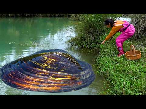 Such a big river clam it s tiring to dig for pearls
