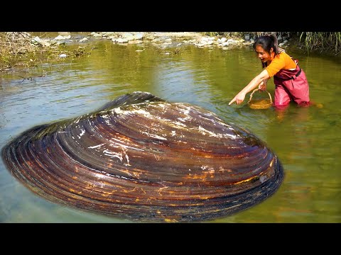 I ve finished digging out the pearls of this river clam