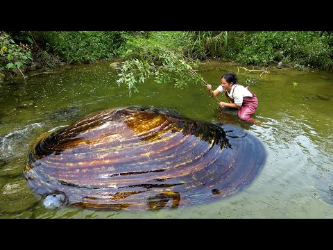 As soon as I arrived here early I found the big river clam
