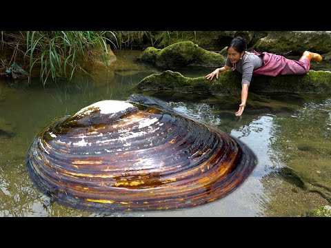 These pearls shine brightly in the belly of the river clam