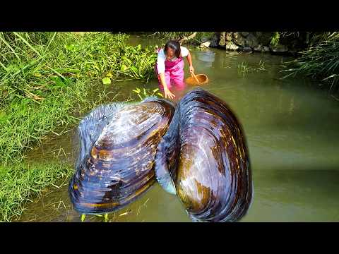 This pair of river clams is refreshing and definitely has