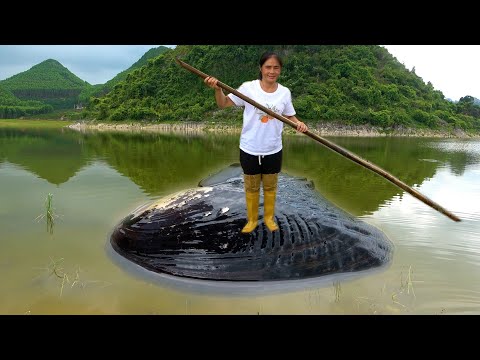 The clam can be used as a boat support and it s great to