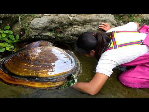 The big river clam in the water is attractive because its
