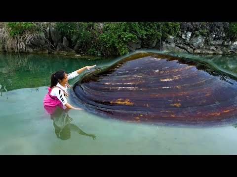 The big river clam is bubbling in the water and the