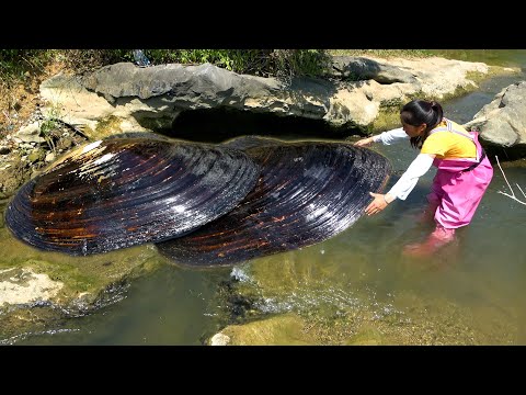 The pearls pulled out by this pair of river clams are large