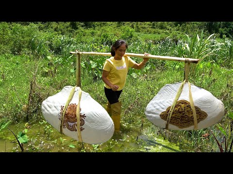 The beautiful woman is carrying two clams which look like