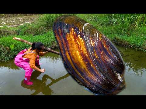 This big river clam has bloomed many beautiful pearls and I