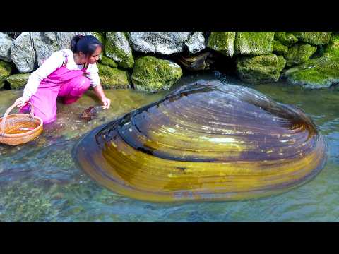 Discovering unique river clams pearls are very popular