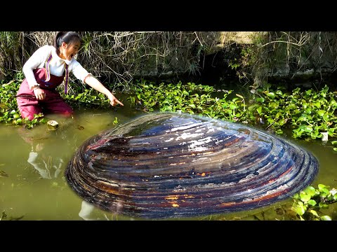 Knowing that there are many river clams in a place set off