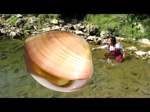 Magical pearl clams have appeared and the quantity is very