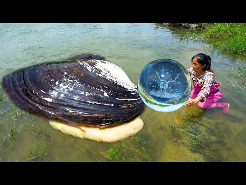 This kind of pearl is super beautiful with patterns inside